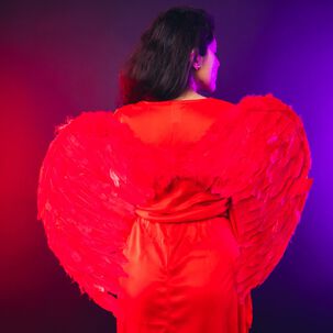 Alas De Angel Disfraz Cosplay Accesorio
