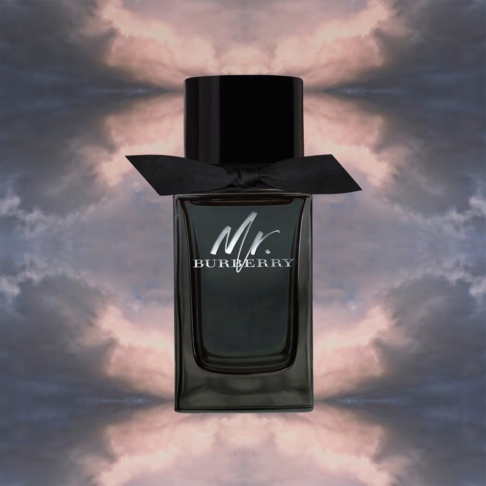 Mr. Burberry 100 Ml Edp image number 2.0
