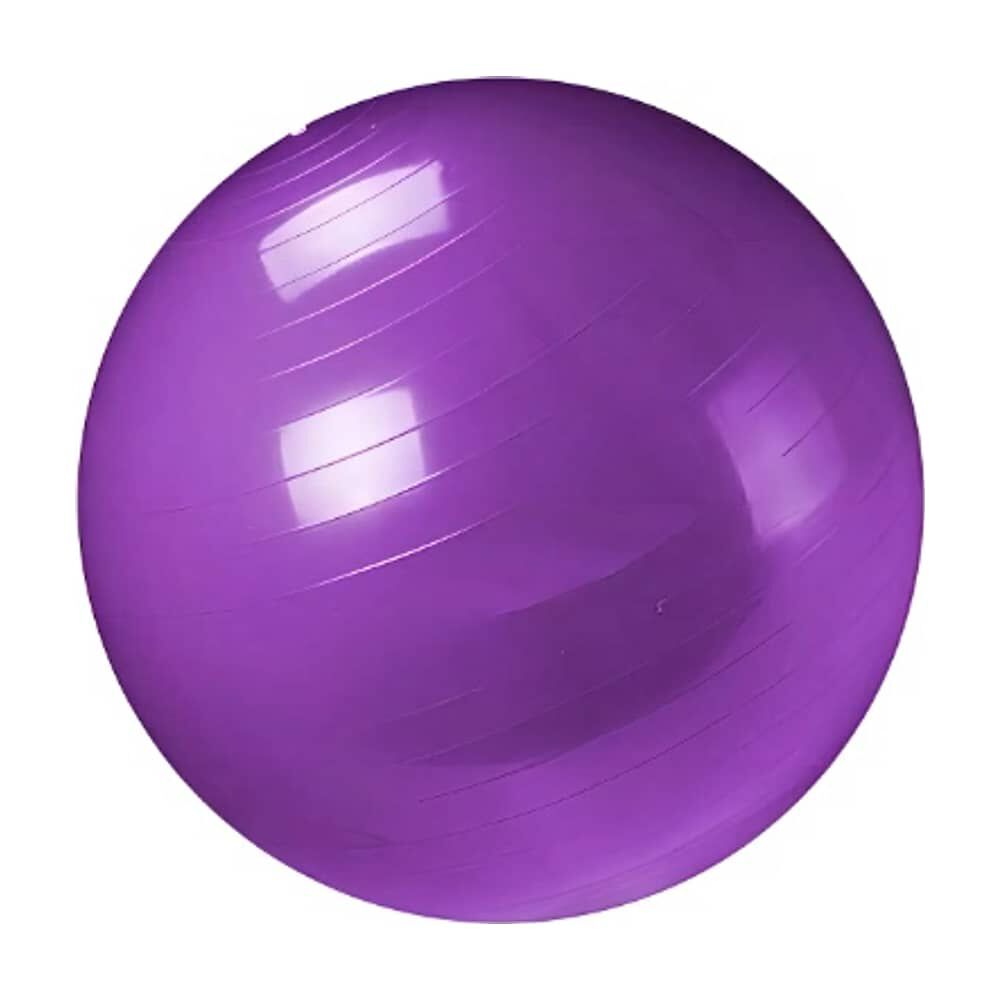 Pelota De Gimnasia Pilates Swiss Yoga De 65 Cm Con Bomba Manual image number 0.0