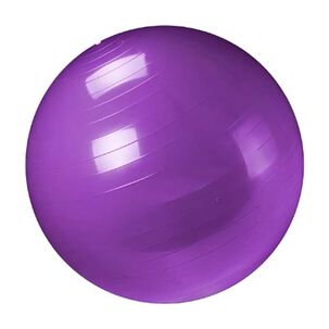 Pelota De Gimnasia Pilates Swiss Yoga De 65 Cm Con Bomba Manual