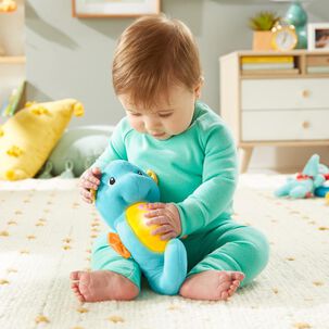 Fisher-price Infant Juguete Para Bebés Caballito De Mar Dulces Sueños