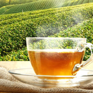 Te Verde China Green Tea Butterfly Brand 100 Bolsitas 200g