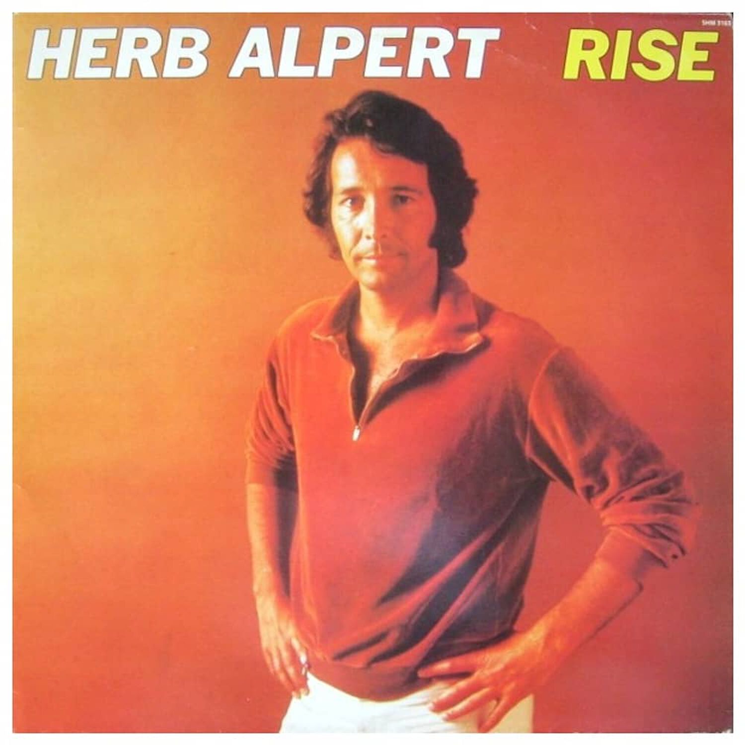 Herp Alpert - Rise | Vinilo Usado image number 0.0