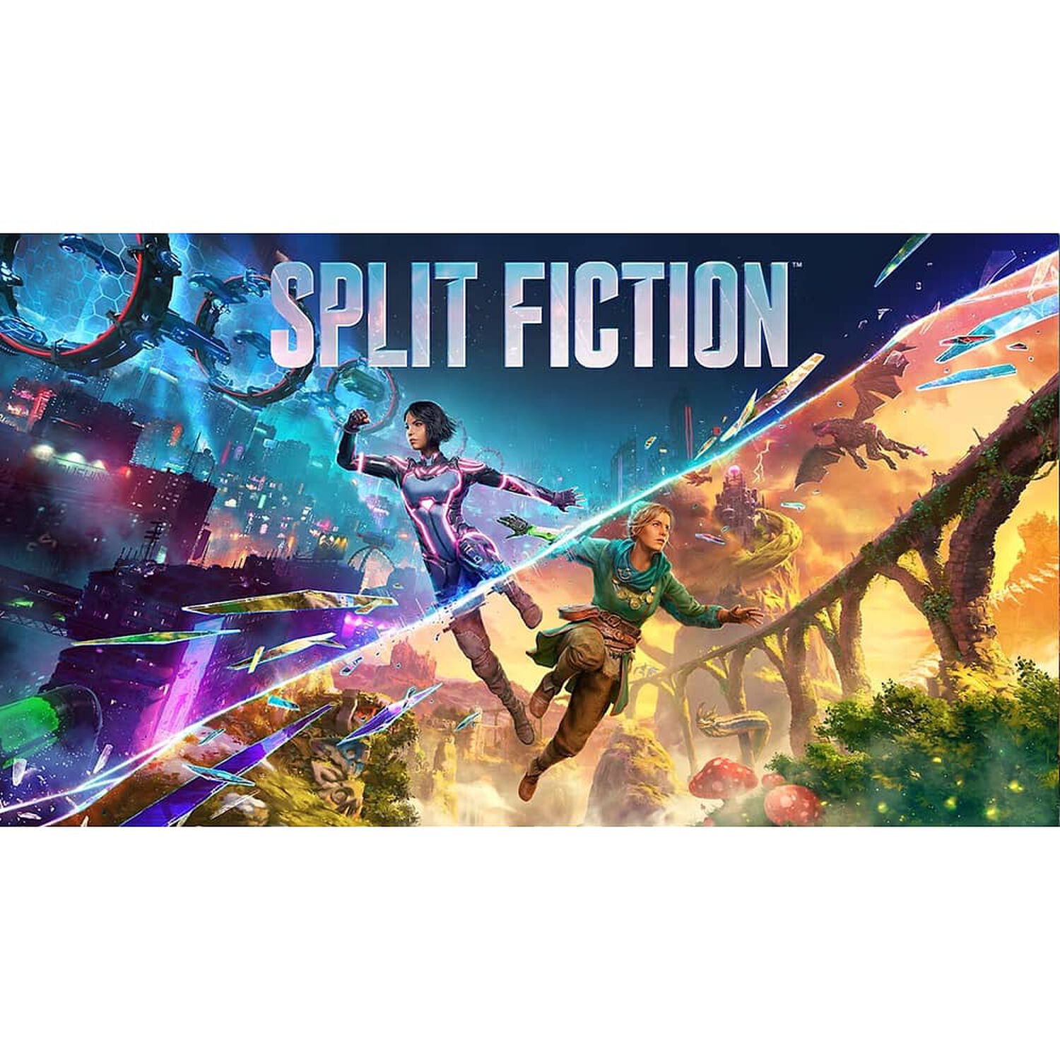 Split Fiction Sw2 image number 1.0