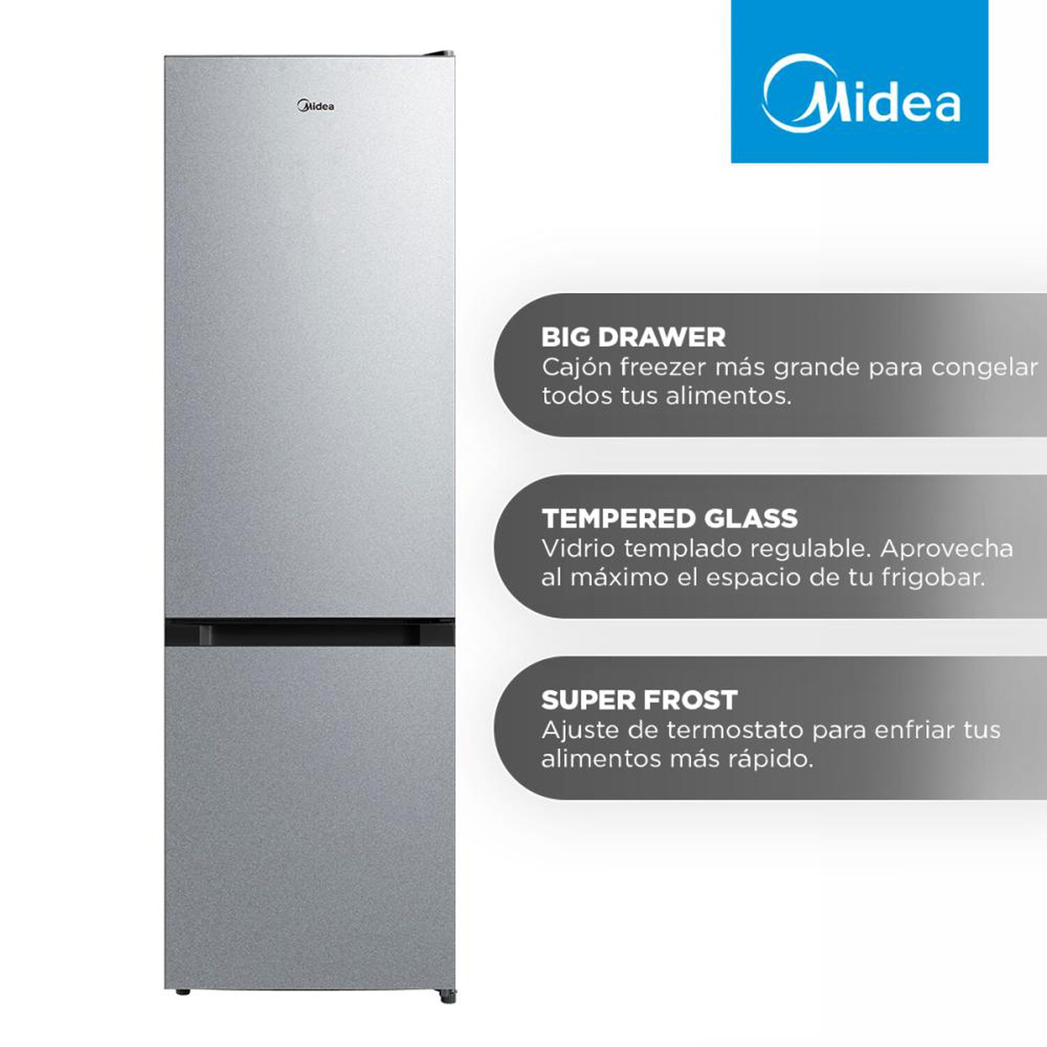 Refrigerador Bottom Freezer Midea MDRB369FGE50 / Fr&iacute;o Directo / 262 Litros / E image number 4.0