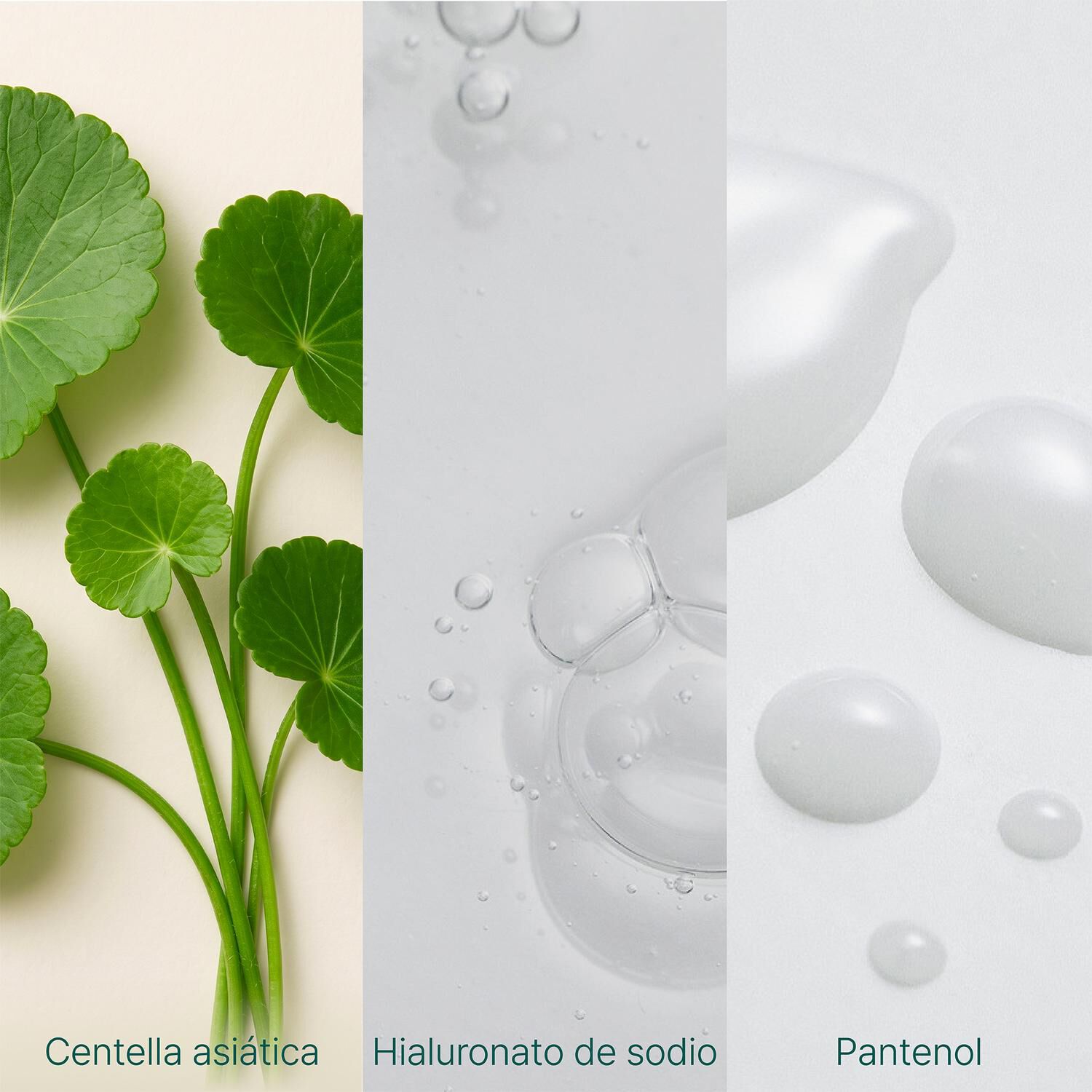 T&oacute;nico Facial Centella 200ml Purito Wonder Releaf Sin Perfume image number 4.0