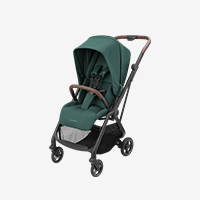 Coche paseo