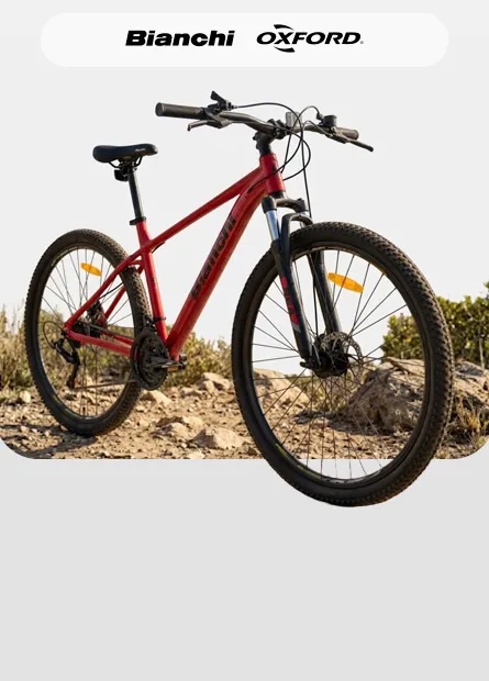 Bicicletas