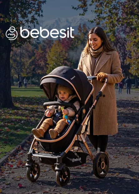 Bebesit