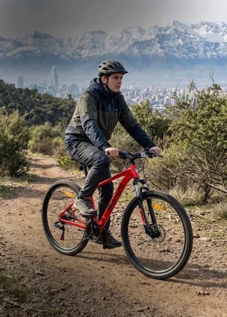 Bicicletas