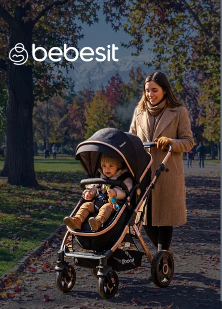 Bebesit