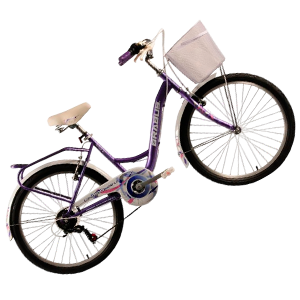 Bicicleta De Paseo  2400ld / 24
