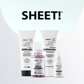 Sheet