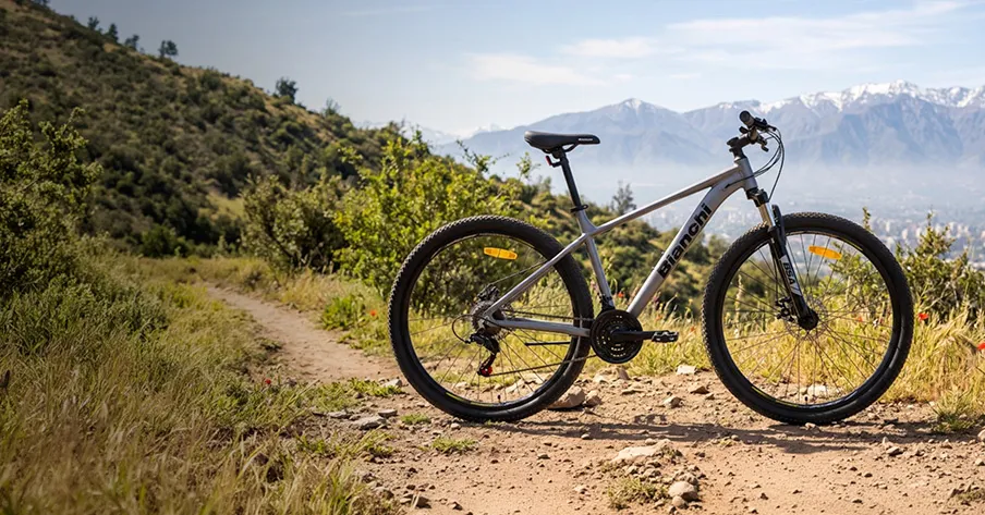 Bicicletas