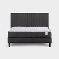 Cama Rosen