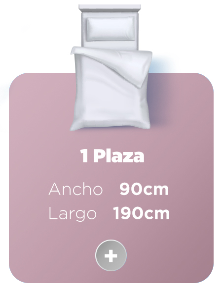 especial dormitorio / 1 Plaza