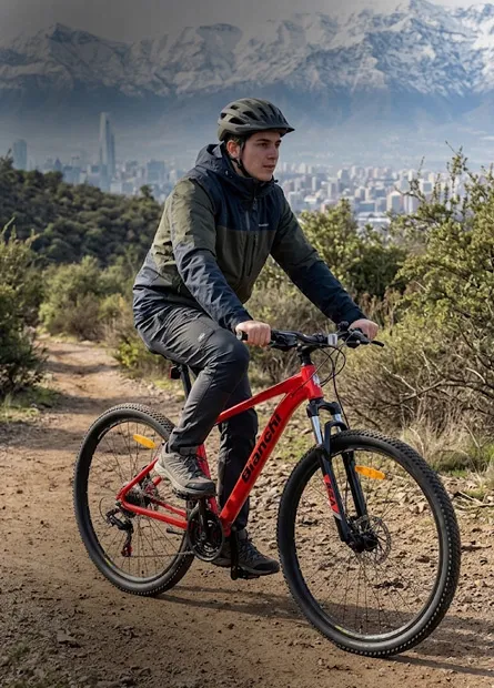 Bicicletas