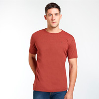 Vestuario hombre | Lisas en hites.com