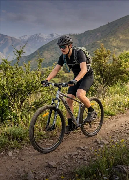 Bicicletas Mountain Bike