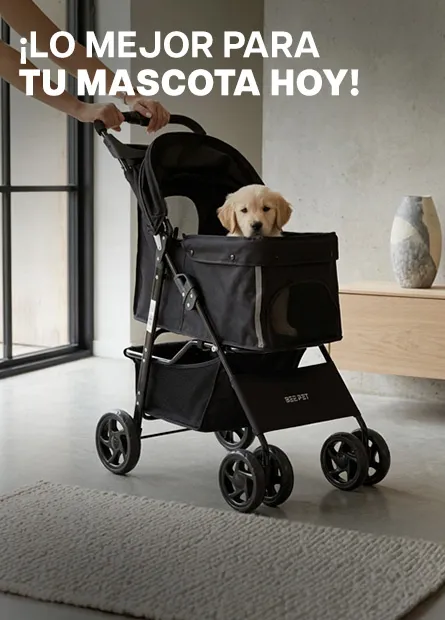¡Lo mejor para tu mascota hoy!