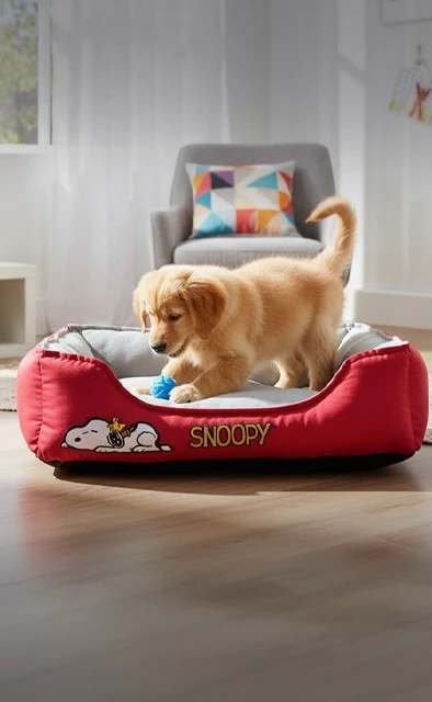 Todo para tu Mascota Todo para tu Mascota