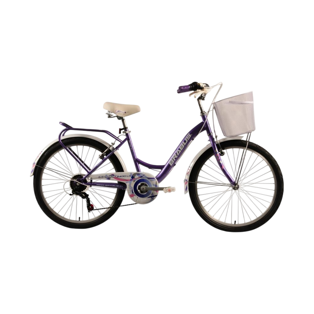 Bicicleta De Paseo  2400ld / 24