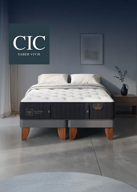 CIC