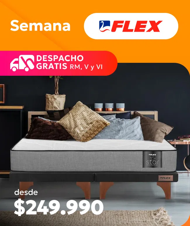 Especial Flex Despacho gratis desde 249.990 RM, V y VI