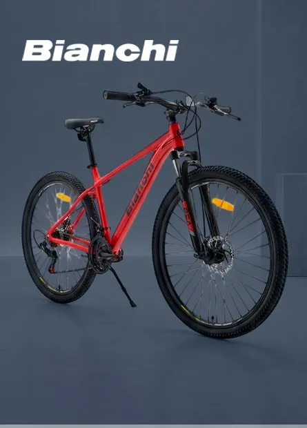 CYBER-bianchi