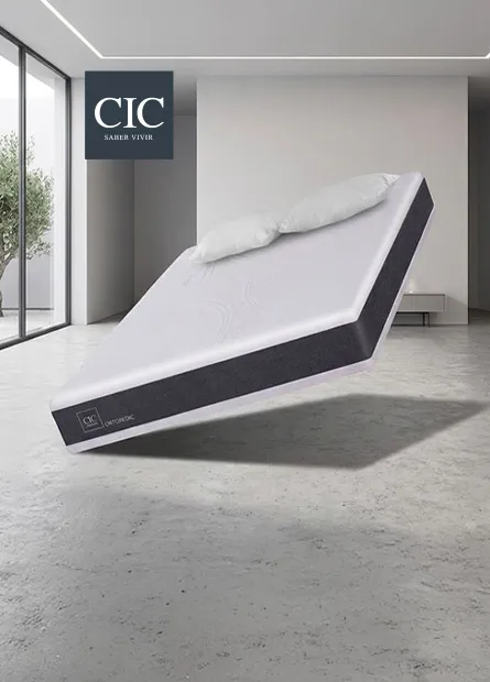 CIC