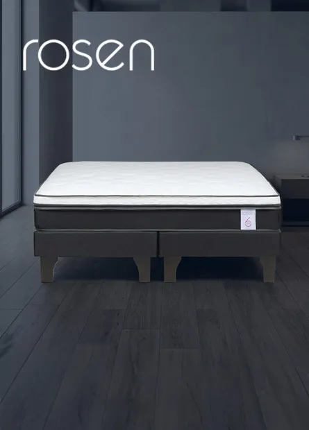 CYBER-rosen