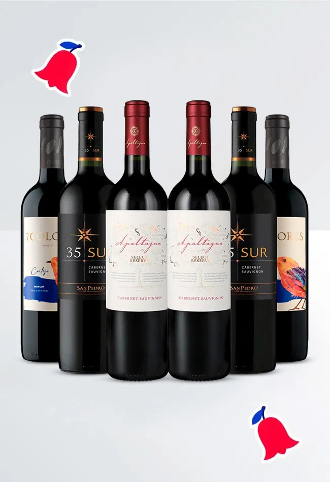 6 Vinos Mix Asado Reservado