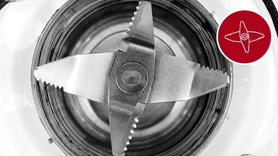 TOSTADOR THOMAS TH-12