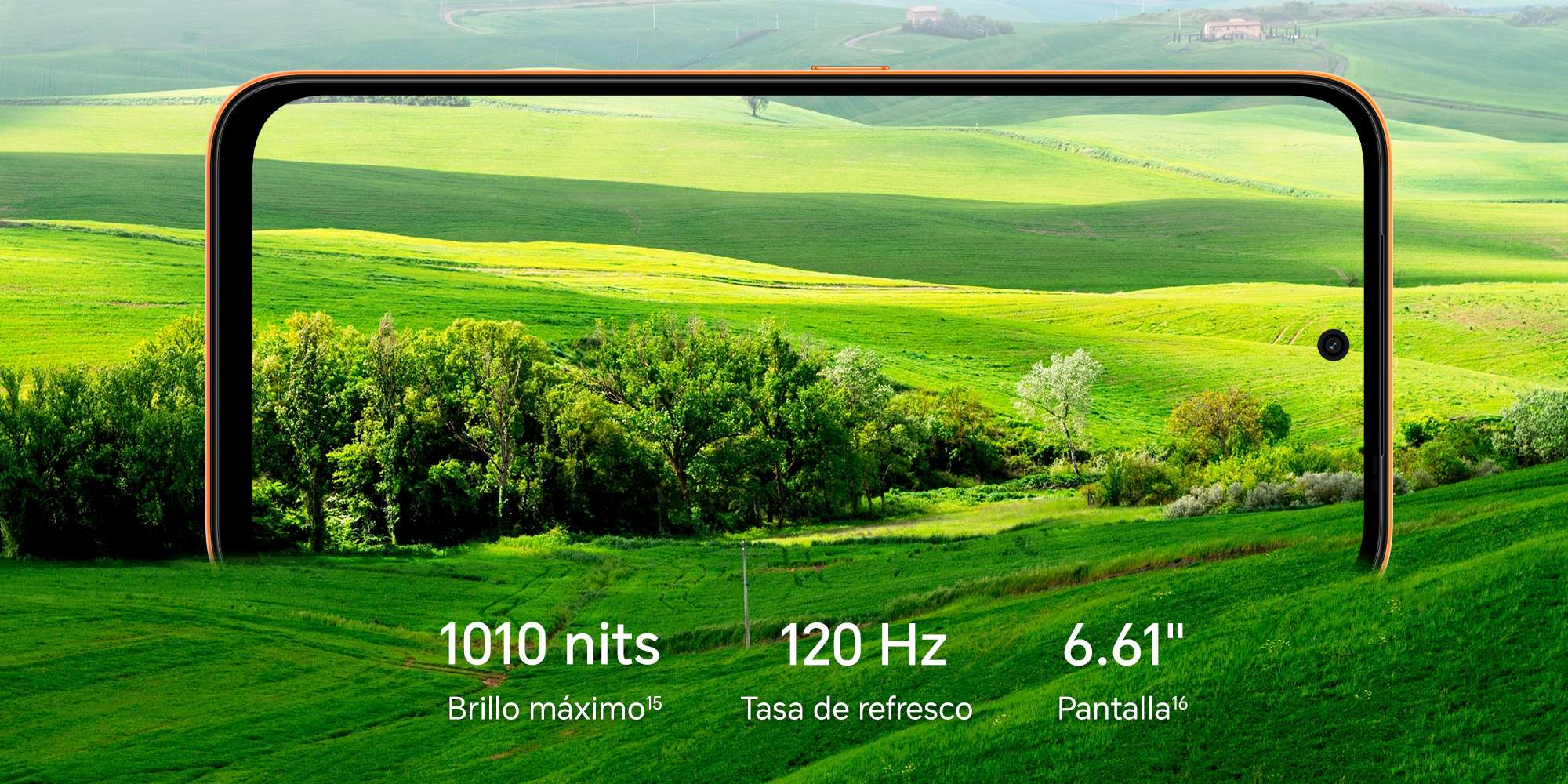Pantalla