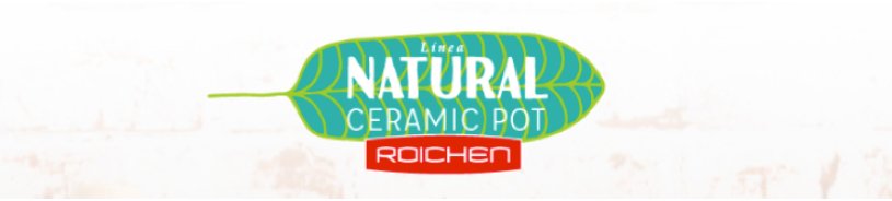 Linea Natural Ceramic Pot - Roichen