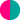 FUCSIA-CALIPSO